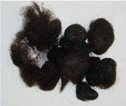 Manufacturers Exporters and Wholesale Suppliers of Waste Human Hair MURSHIDABAD West Bengal